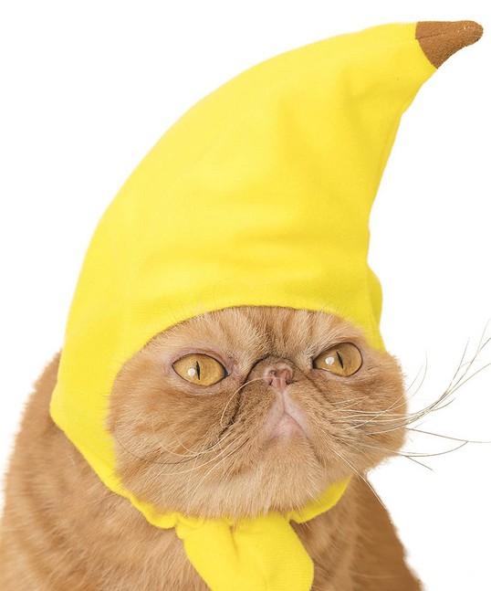 Cat wearing a bright yellow banana fruit hat from the Cat Cap Blind Box Fruit collection, designed for comfort and cuteness.