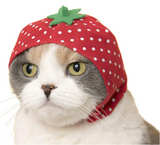 Cat wearing a red polka dot strawberry fruit hat from the Cat Cap Blind Box Fruit collection.