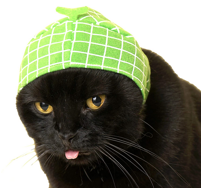 Black cat wearing a green fruit-themed hat from the Cat Cap Blind Box Fruit collection, soft and adjustable fit.