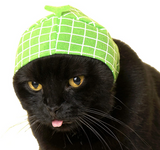 Black cat wearing a green fruit-themed hat from the Cat Cap Blind Box Fruit collection, soft and adjustable fit.