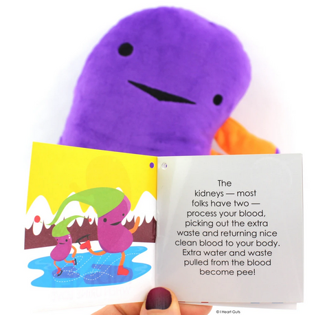 Kidney plush with an open hangtag showing fun kidney illustrations and educational facts about kidney function.