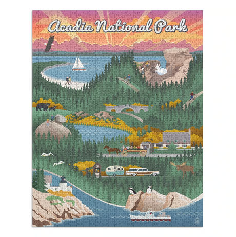 1000pc Retro Acadia Puzzle featuring colorful, detailed Acadia National Park artwork with interlocking pieces and eco-friendly inks.