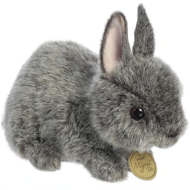 Gray netherland online dwarf rabbit