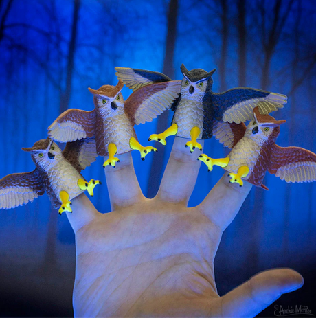 Finger Owl soft vinyl finger puppets in assorted colors, perched on fingers with wings spread in a nighttime forest setting.