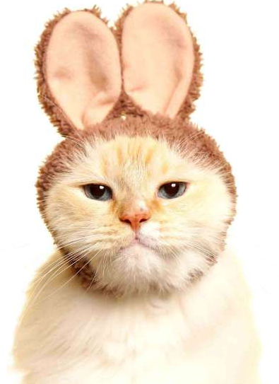 Cat wearing a soft brown bunny ear hat from the Cat Cap Blind Box | Rabbit collection with a secure fit strap.
