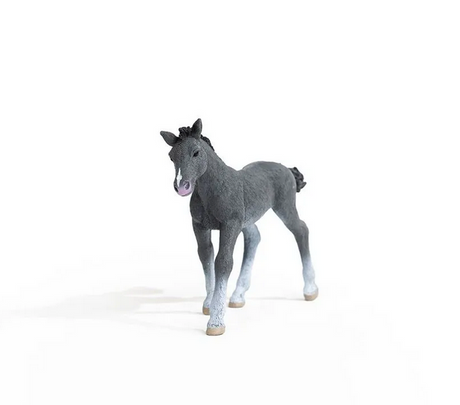 Trakehner Foal figurine with realistic details, standing gray foal model, collectible Schleich horse toy for kids ages 5-12.