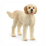 Goldendoodle