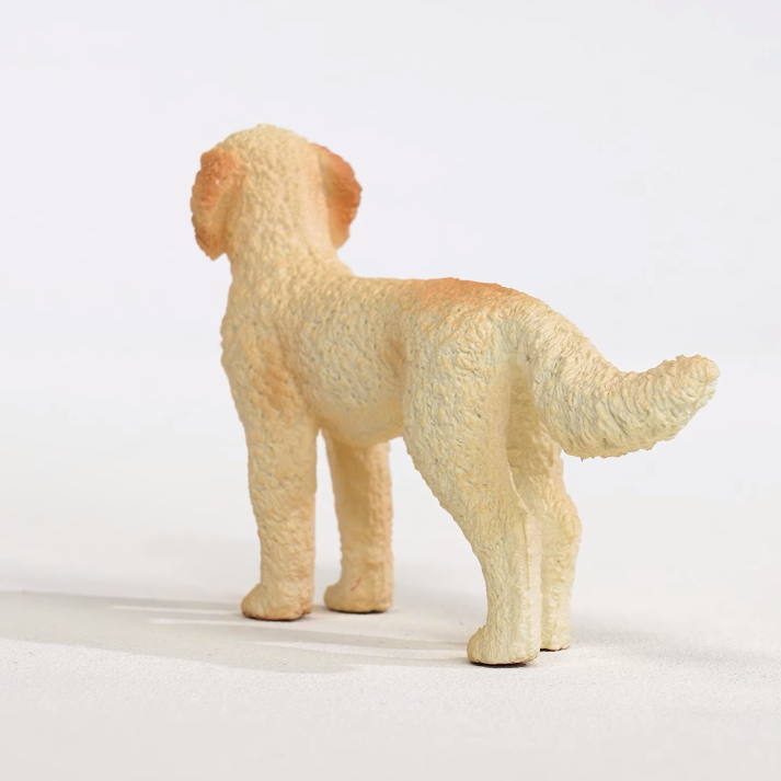 Goldendoodle