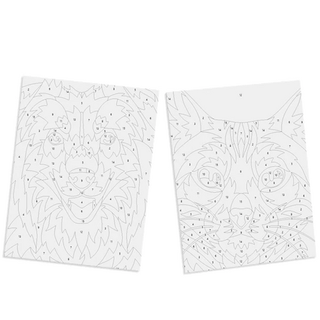 Paint By Number Cat & Dog kit with two numbered canvases featuring outlined animal designs for kids to paint.