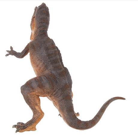 Giganotosaurus dinosaur figure standing with detailed scales and a long tail, measuring 7 x 7.8 inches.