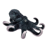 Octopus Winky