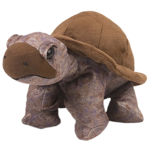 Tortoise soft toy hotsell