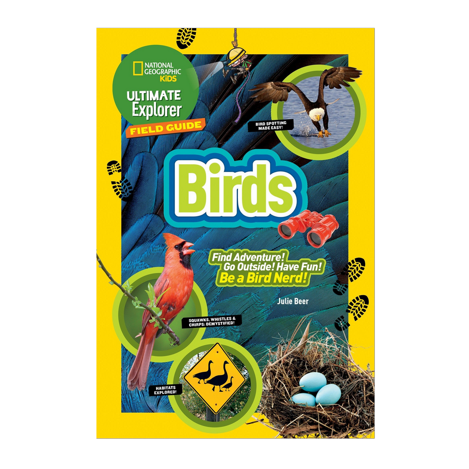 Kids Field Guide: Birds