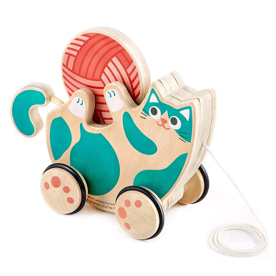 Pull Along Roll & Rattle Kitten