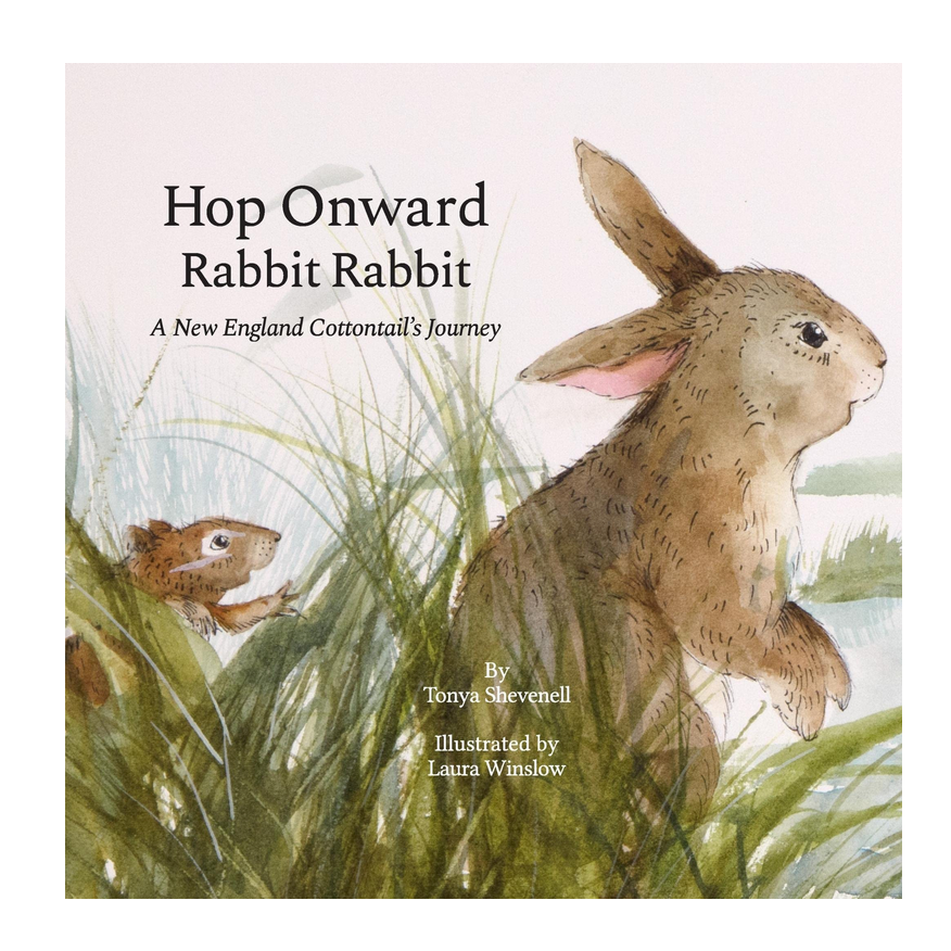 Hop Onward Rabbit Rabbit