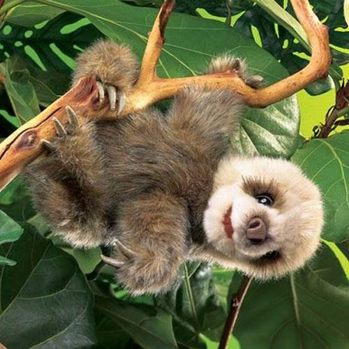Sloth Baby Puppet hanging on a branch with movable mouth and legs, soft fur, perfect for kids ages 3 and up.