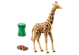 Wiltopia Giraffe