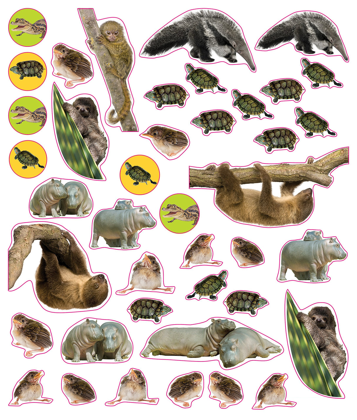 Eyelike Stickers: Baby Animals