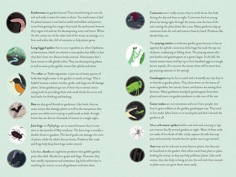 Up in the Garden, Down in the Dirt book spread showing garden creatures and descriptions of their roles in the soil.