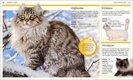 Pocket Genius Cats showing Highlander, Kinkalow, and Himalayan cat breeds with photos and breed facts in a pocket encyclopedia.