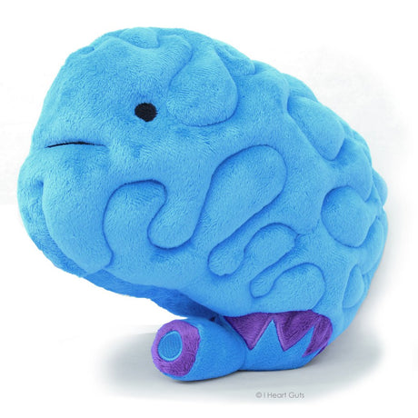 Brain plush toy in bright blue with textured folds, soft and cuddly 11x9x5 inches perfect for all ages.
