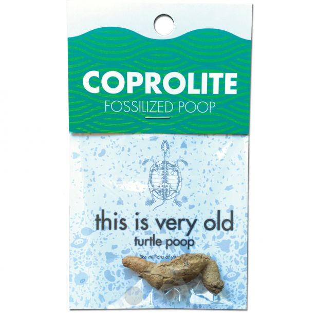Coprolite Turtle Poop – Treehouse Toys