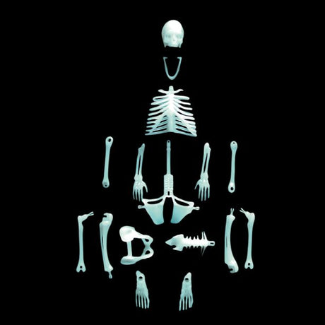Human Skeleton glowing 16 piece puzzle with separate bones displayed on black background, 12 inches tall when assembled.