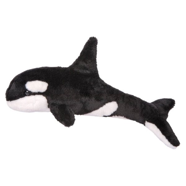 Orca Whale