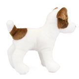 Jack Russell Terrier Fiesty