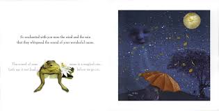 On the Night You Were Born board book page showing a frog and umbrella under a starry night sky with a moon.
