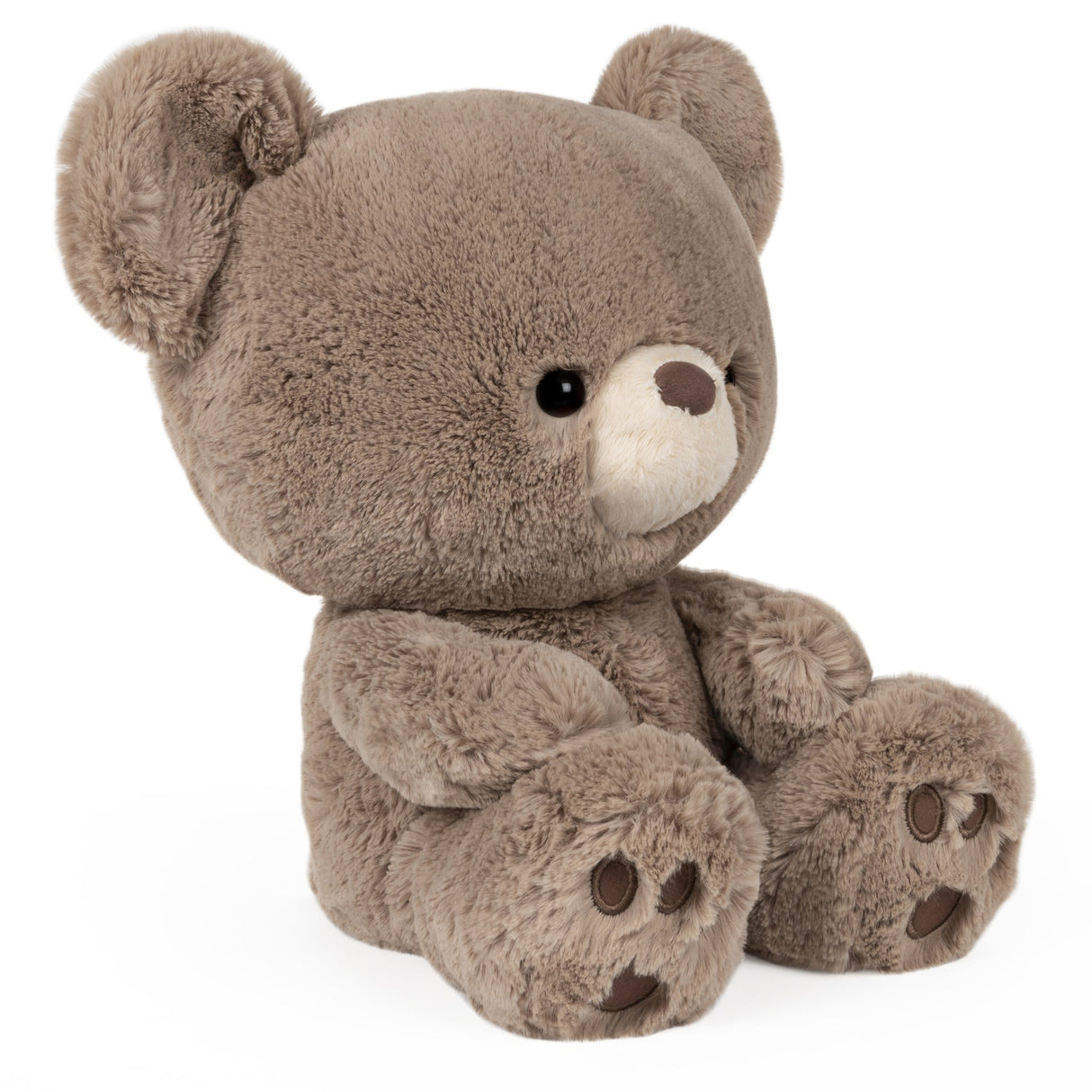 Teddy Bear Kai