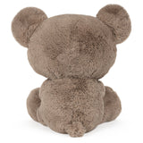 Teddy Bear Kai