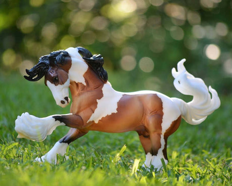 Gypsy Vanner model horse with brown and white coat, flowing mane and tail, standing on green grass outdoors.