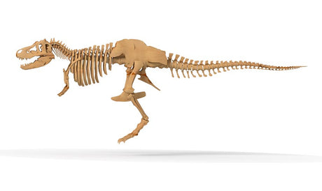 Dinosaur Skeleton Kit showing a detailed 26-inch Tyrannosaurus rex skeleton model assembled on a white background.
