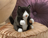 Kitten Tuxedo