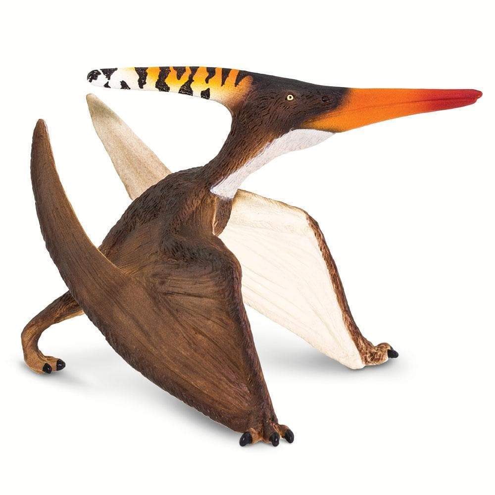 Difference Between Pterodactyl and Pteranodon  Compare the Difference  Between Similar Terms