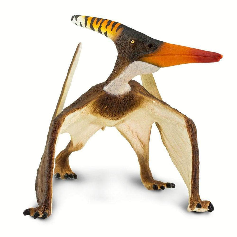 Pteranodon