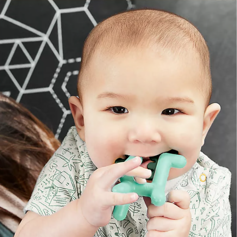 Silicone Teether | GROWL