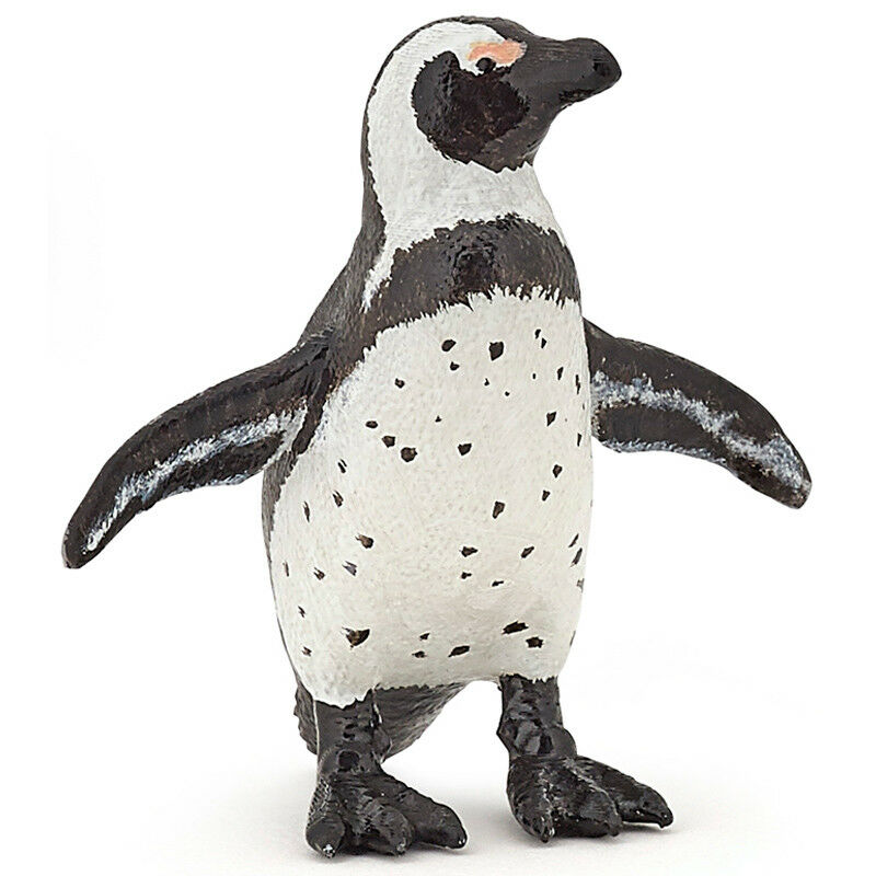 African Penguin