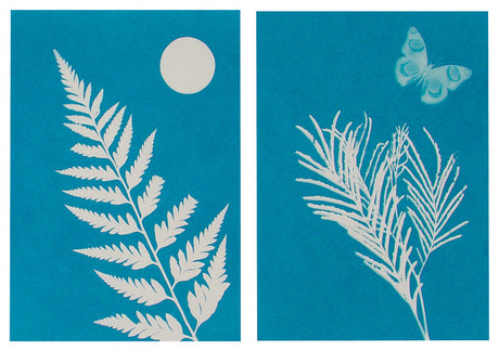 Solar Print Kit showing blue solar prints of a fern with the sun and a butterfly with plant leaves on light-sensitive paper.
