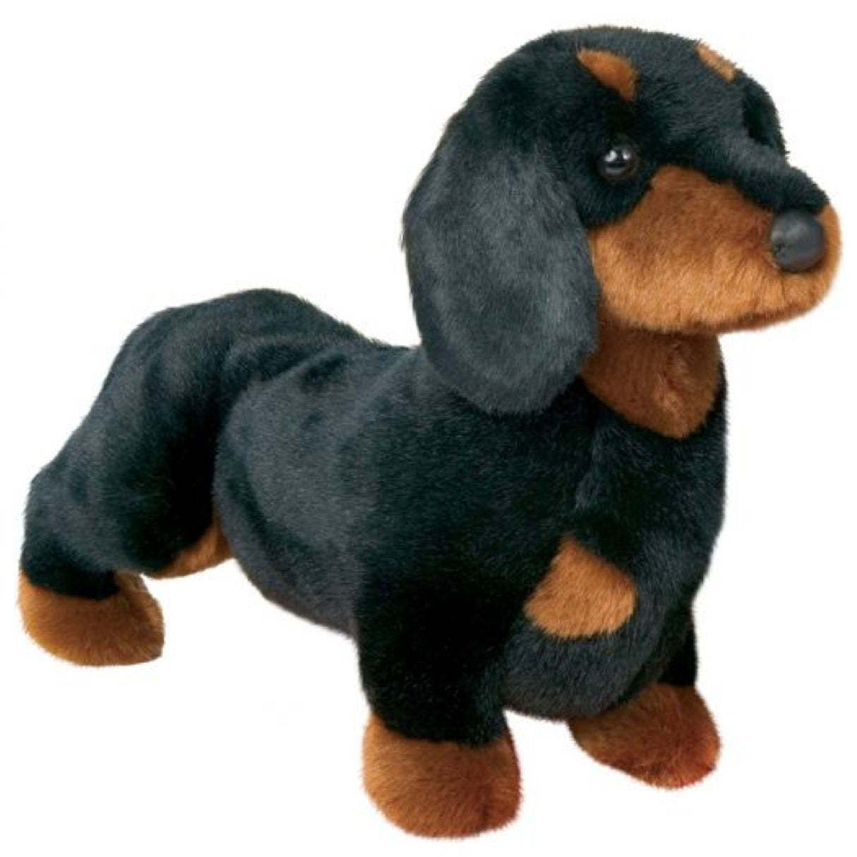 Dachshund Spats