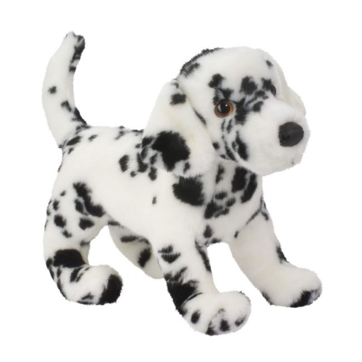 Dalmation