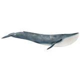 Blue Whale