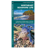 Pocket Northeast Seashore waterproof folding guide featuring coastal wildlife and habitats from Massachusetts to Northern Maine.