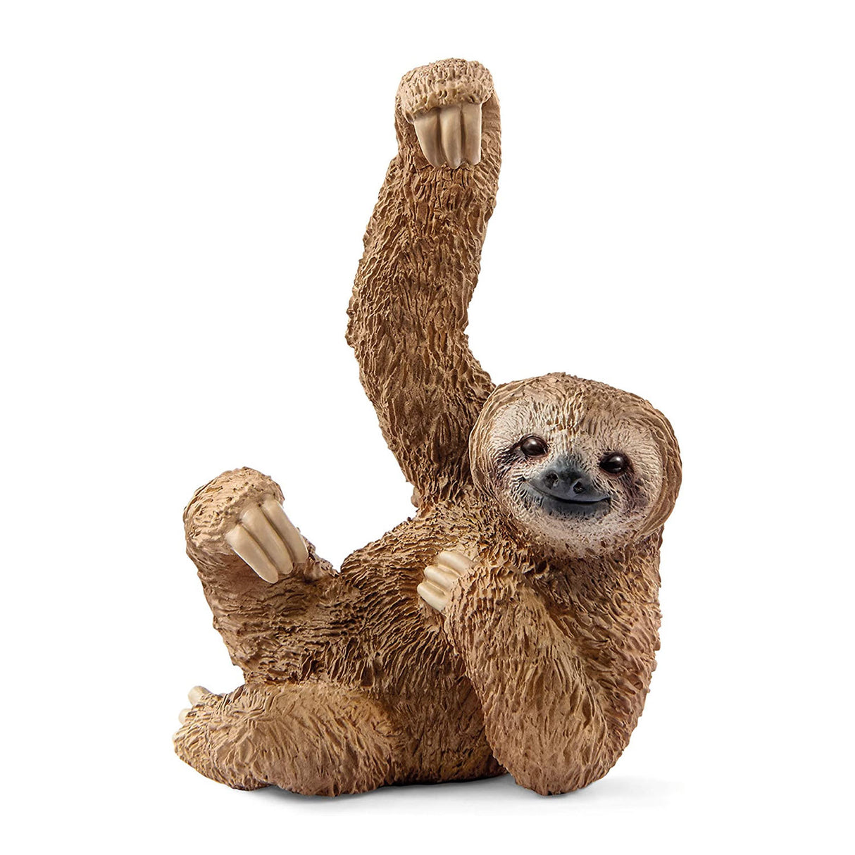 Sloth