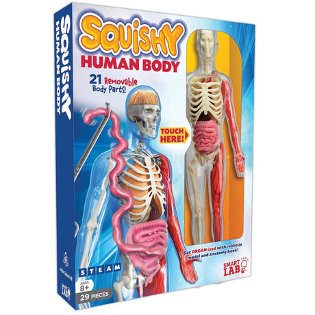 Squishy Human Body with 21 removable organs, bones, and muscles for hands-on anatomy learning and exploration.