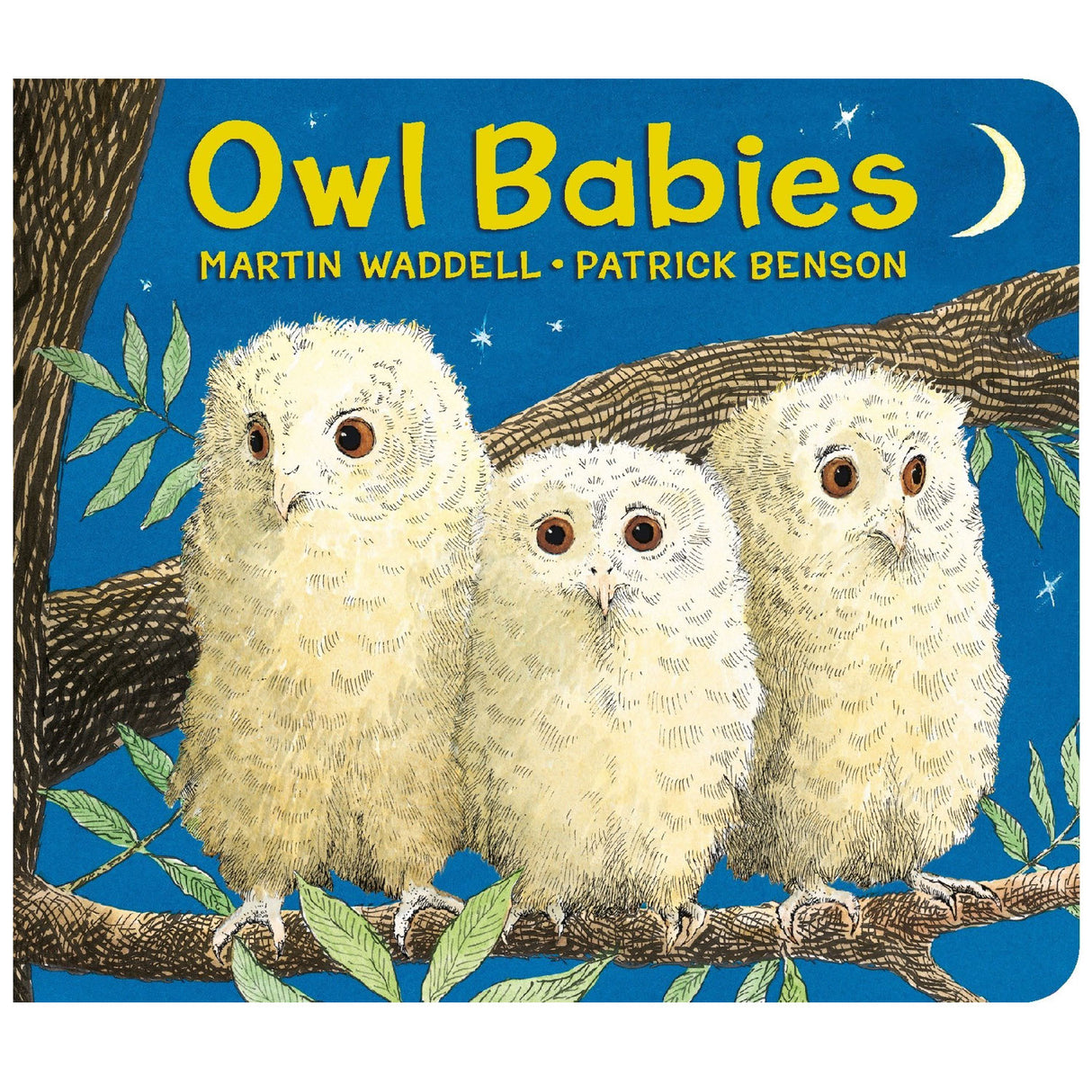 Owl Babies