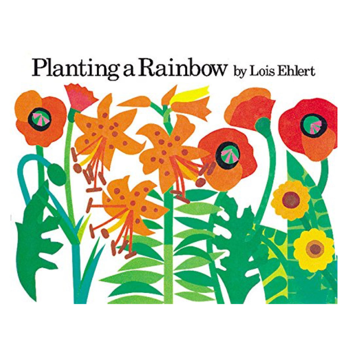 Planting a Rainbow